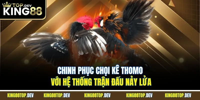 Chinh phục chọi kê Thomo với hệ thống trận đấu nảy lửa