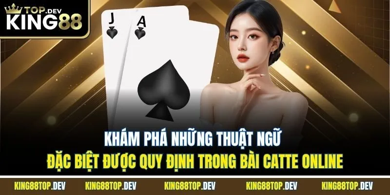 Khám phá những thuật ngữ đặc biệt được quy định trong bài Catte online