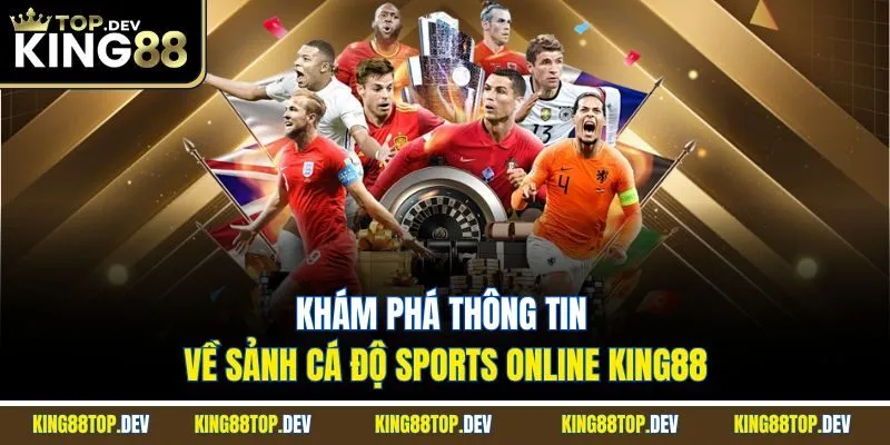 Khám phá thông tin về sảnh cá độ Sports online King88