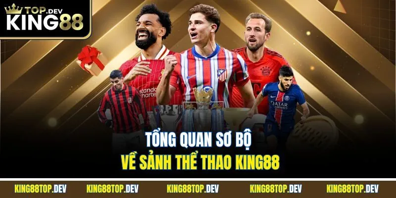 Tổng quan sơ bộ về sảnh thể thao King88