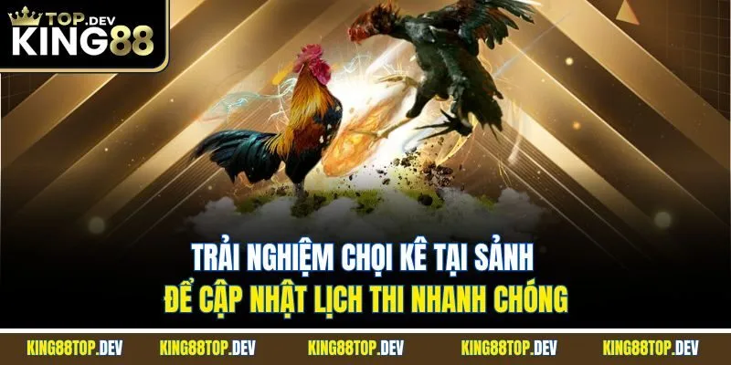 Trải nghiệm chọi kê tại sảnh để cập nhật lịch thi nhanh chóng